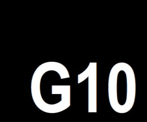 G10 Fund logo 3 in. BLACK